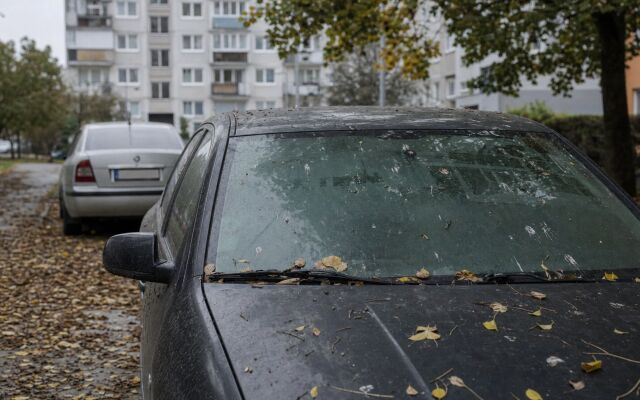 Auto zaparkované pod stromom v bratislavskom parku s padajúcimi konármi