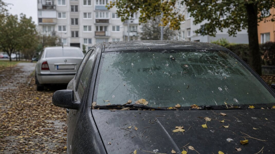Auto zaparkované pod stromom v bratislavskom parku s padajúcimi konármi
