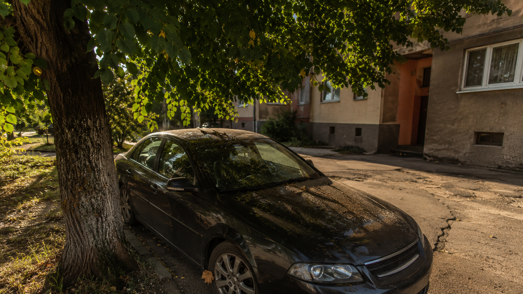 Tieň od stromu alebo riziko živice a konárov? Parkovanie pod zeleňou