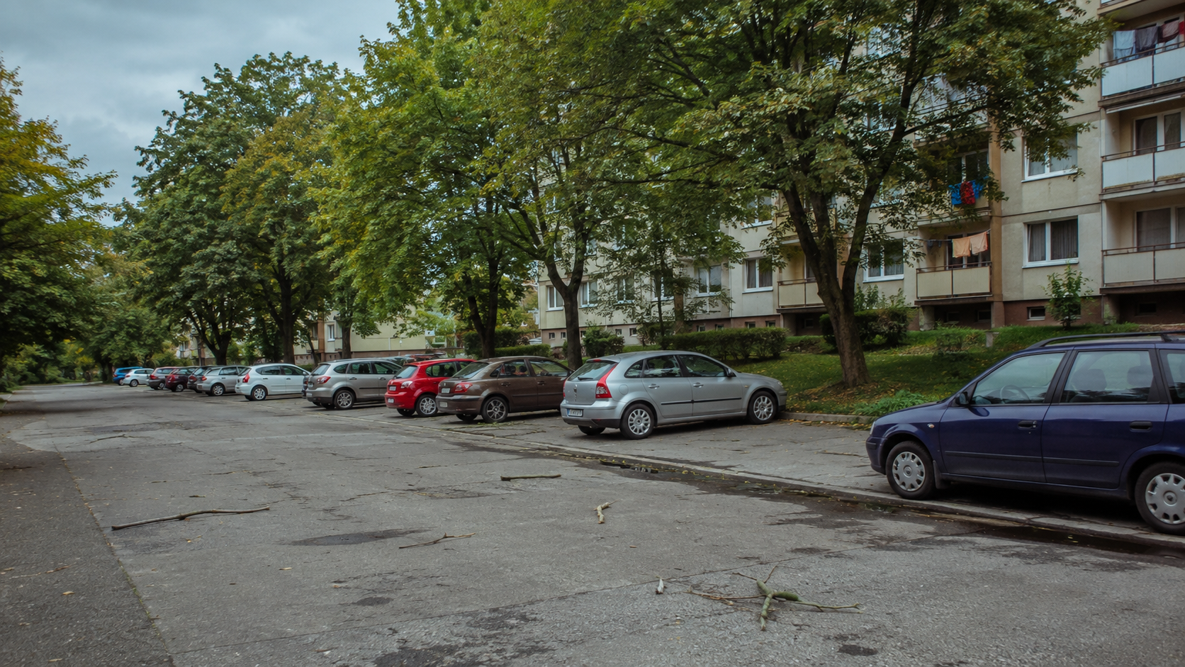 Tieň od stromu alebo riziko živice a konárov? Parkovanie pod zeleňou — širší kontext