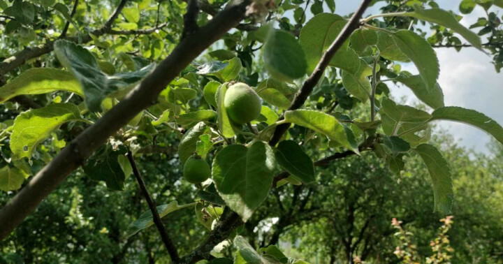 Predaj garáže v garážovom dome na Bukureštskej ulici, Košice