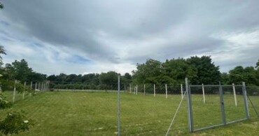 Investičný pozemok na podnikanie v Bernolákove, 604 m²