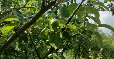 Predaj garáže v garážovom dome na Bukureštskej ulici, Košice