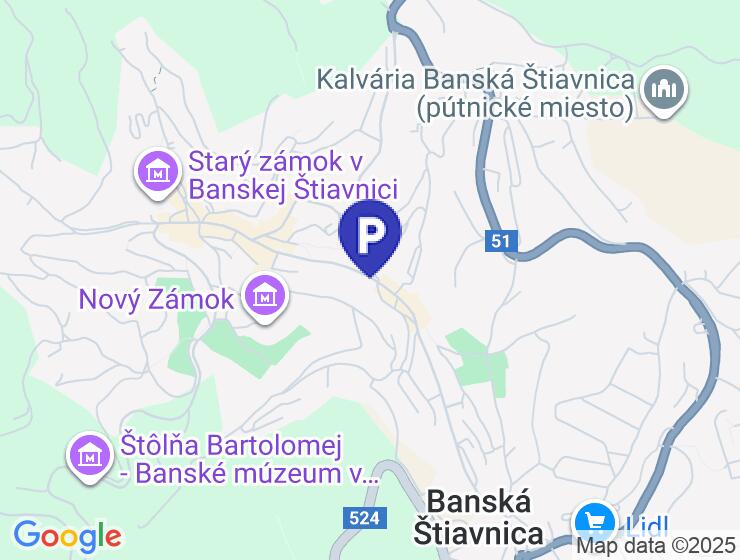 Plechová garáž 4x6 m s dreveným vzorom